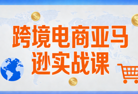 丝丝老师·跨境电商亚马逊实战课(更新2月) - 雷宸资源库|雷宸资源库