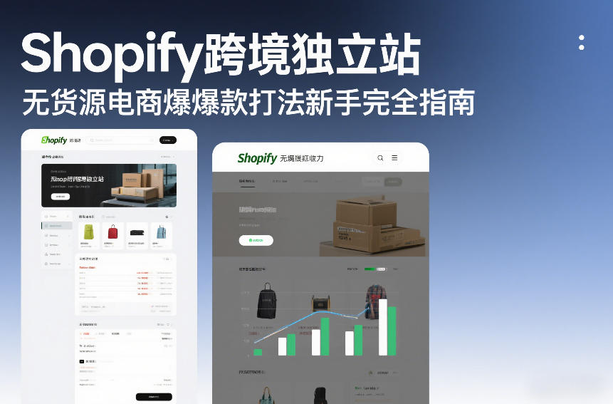 Shopify跨境独立站无货源电商爆款打法新手完全指南|雷宸资源库
