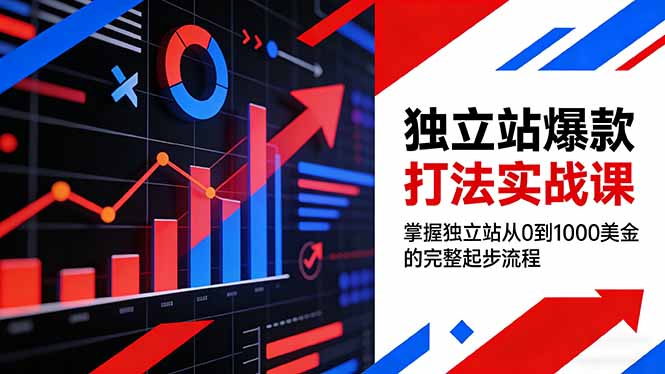 独立站爆款打法实战课，掌握独立站从0到1000美金的完整起步流程|雷宸资源库