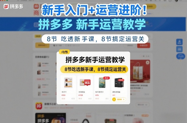 新手入门+运营进阶！拼多多新手运营教学，8节吃透新手课，8节搞定运营关|雷宸资源库