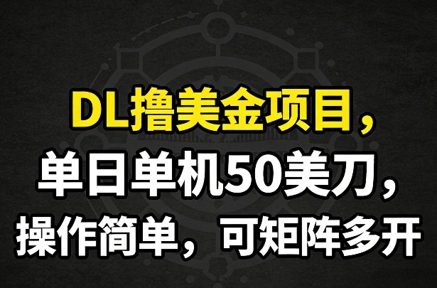 DL撸美金项目，单日单机50美刀，操作简单，可矩阵多开|雷宸资源库