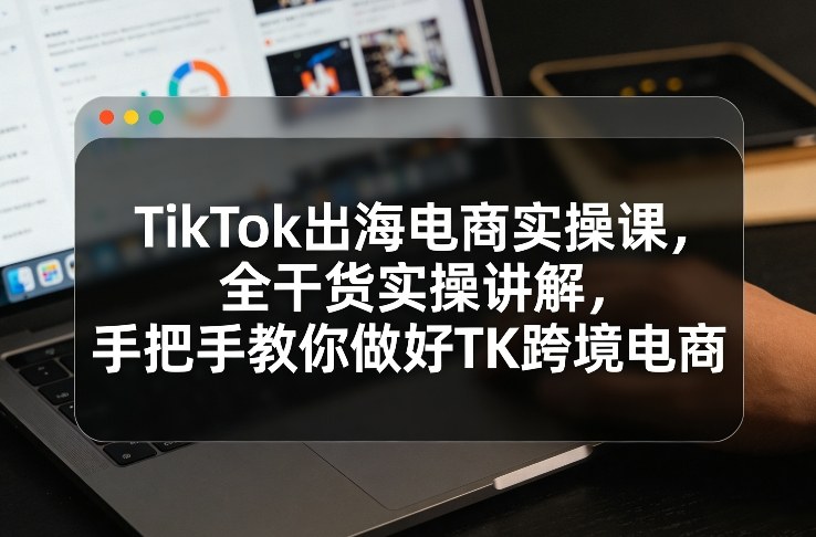 TikTok出海电商实操课，全干货实操讲解，手把手教你做好TK跨境电商|雷宸资源库