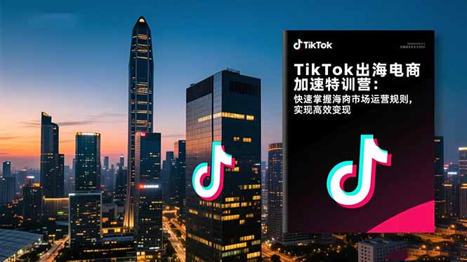 TikTok出海电商加速特训营-更新：快速掌握海外市场运营规则，实现高效变现|雷宸资源库