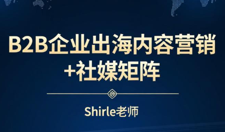 shirle老师·B2B企业出海内容营销+社媒矩阵|雷宸资源库