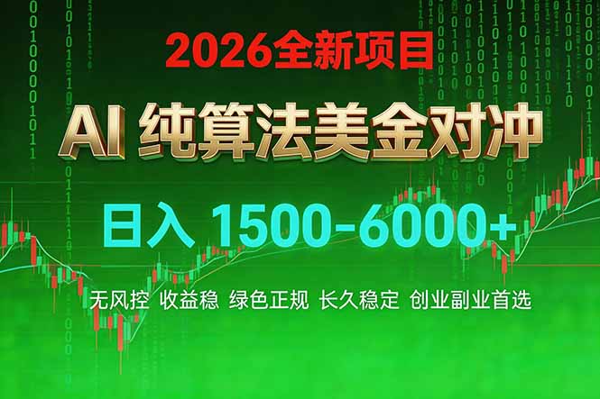 2026 全新美金对冲项目，不套平台赠金，不封号，纯算法对冲，日入 1500-6000+|雷宸资源库