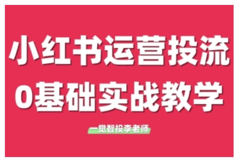 小红书运营投流，小红书广告投放从0到1的实战课，学完即可开始投放(更新26年)|雷宸资源库