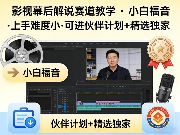 某大佬的影视幕后解说赛道教学，小白福音，上手难度小，可进伙伴计划+精选独家 - 雷宸资源库|雷宸资源库
