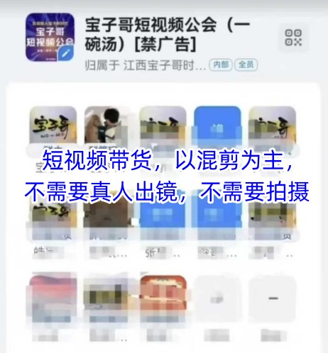 宝子哥头部团队短视频带货，以混剪为主，不需要真人出镜，不需要拍摄【更新26年3月】|雷宸资源库