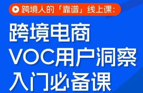 跨境电商VOC用户洞察入门必备课 - 雷宸资源库|雷宸资源库