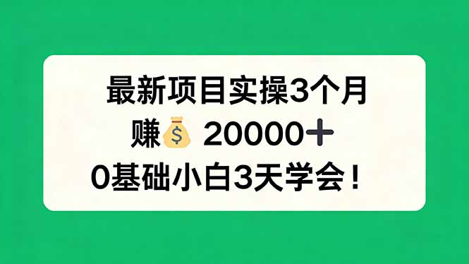 最新项目实操3个月，赚钱20000+，0基础小白3天学会！ - 雷宸资源库|雷宸资源库