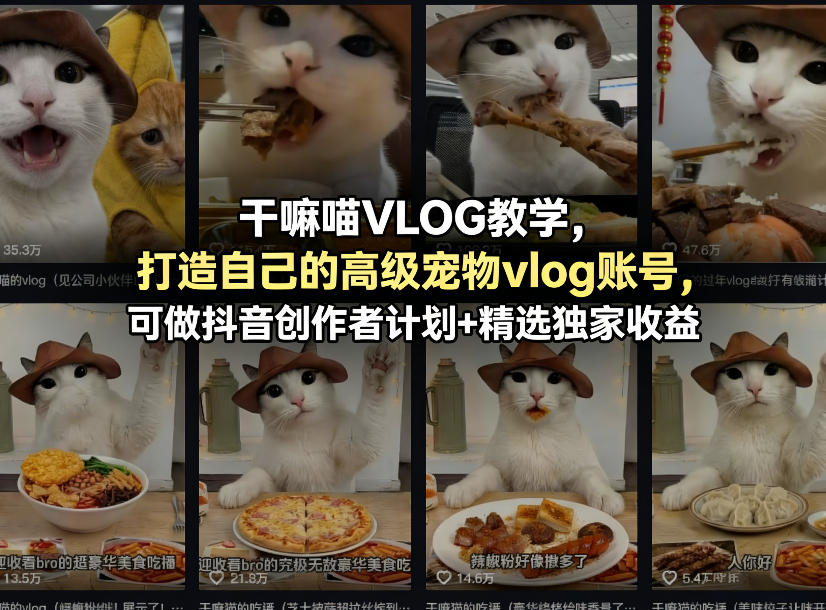 干嘛喵VLOG教学，打造自己的高级宠物vlog账号，可做抖音创作者计划+精选独家收益 - 雷宸资源库|雷宸资源库