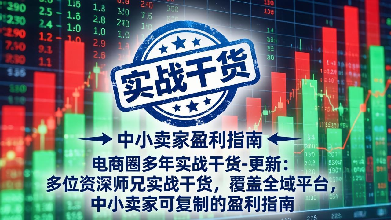 电商圈多年实战干货-更新4月：多位资深师兄实战干货，覆盖全域平台，中小卖家可复制的盈利指南|雷宸资源库
