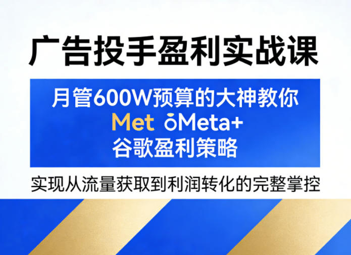 广告投手盈利实战课，月管600W预算的大神教你Meta+谷歌盈利策略，实现从流量获取到利润转化的完整掌控 - 雷宸资源库|雷宸资源库