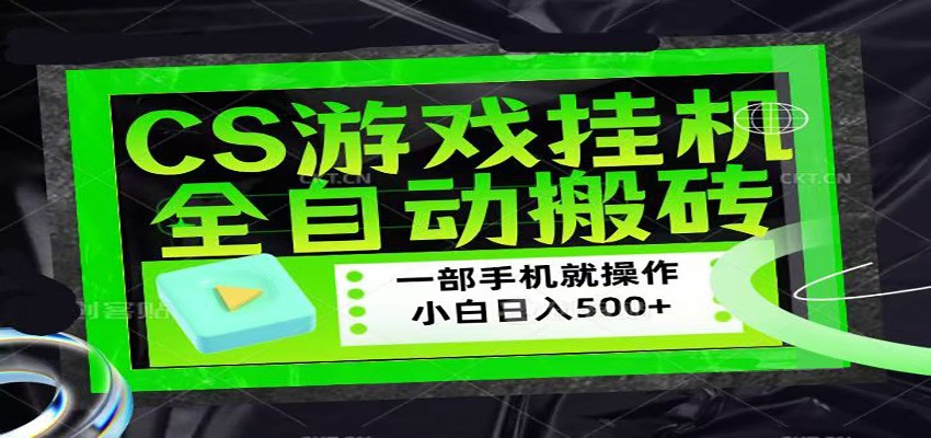 CSGO游戏挂机捡漏搬砖，超稳定的项目，带领1000+小白实现日入500+|雷宸资源库