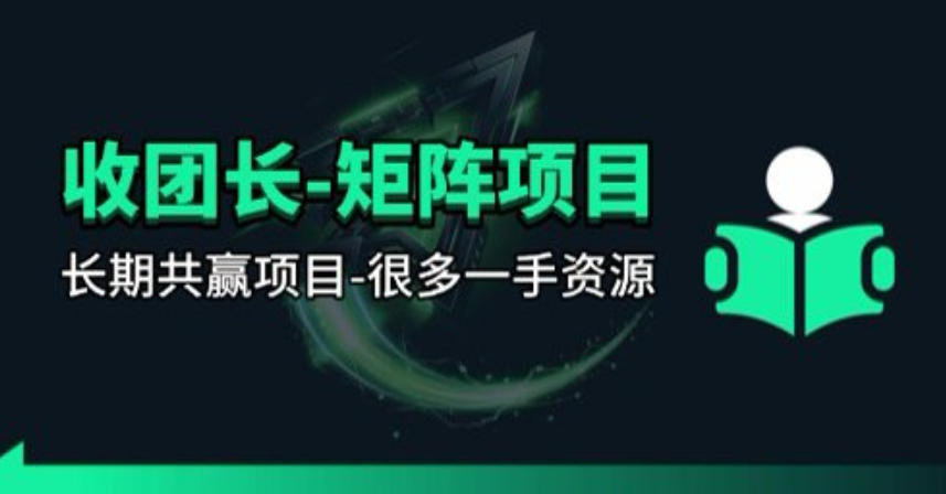 【团长合作】视频矩阵项目_招发手矩阵+剪辑师，共赢项目【揭秘】|雷宸资源库