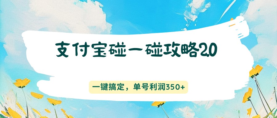 支付宝碰一碰攻略2.0，一键搞定，单号利润350+|雷宸资源库