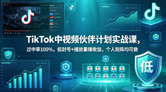 TikTok中视频伙伴计划实战课，过中率100%，低封号+播放量賺收益，个人矩阵均可做|雷宸资源库